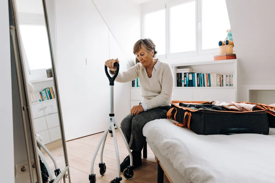 Pet-sitter & pension : faire garder son animal — illustration