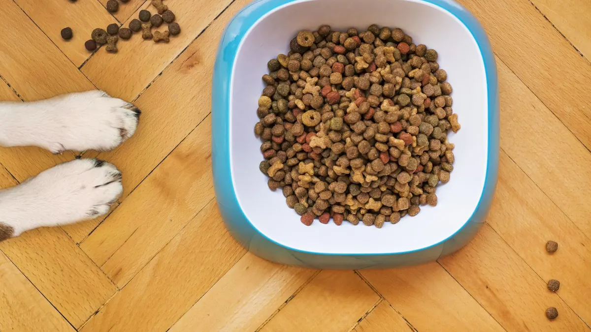 Gamelle de nourriture pour chien et chat