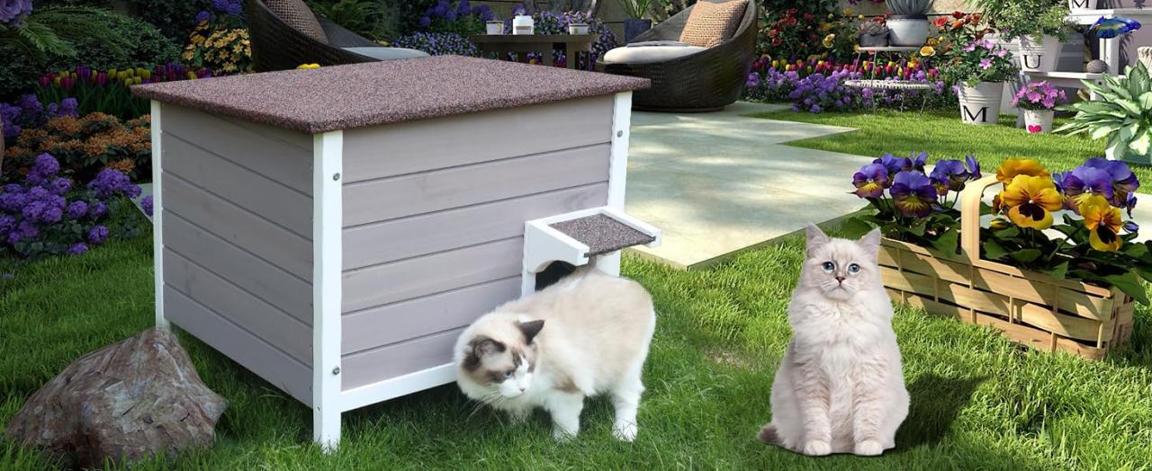 niche pour chat exterieur