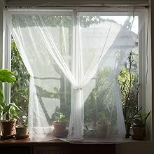 Jardin Patio Extérieur Plante Moustiquaires Protection contre les insectes Maille Filet