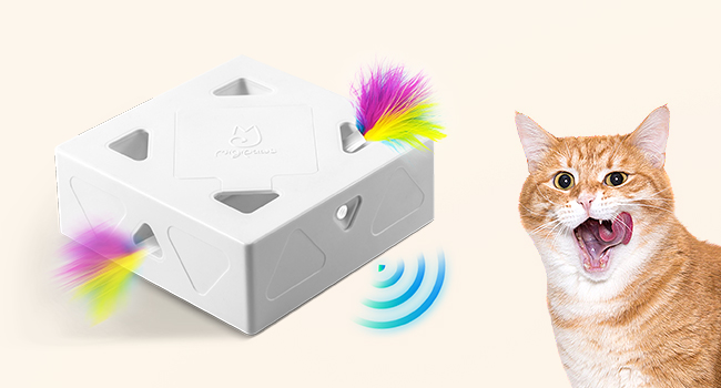 jouets pour chats，jouets à base d'herbe à chat，jouets interactifs pour chats d'intérieur